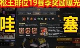 19赛季视频爆料,揭秘赛场幕后风云