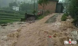 网友爆料山洪事件视频,视频记录生死时速